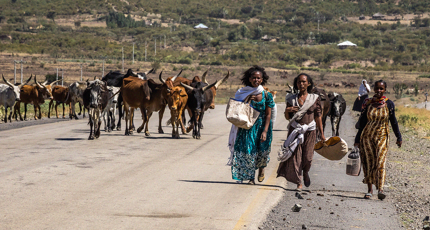 Ethiopian refugee relief